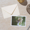 Postcards - 5x7 Grit Mercantile