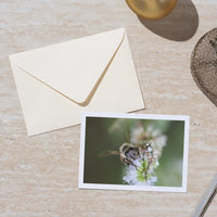 Postcards - 5x7 Grit Mercantile