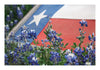 Postcards - 4x6 Grit Mercantile