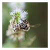8x8 Fine Art Prints Grit Mercantile