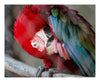 8x10 Fine Art Prints Grit Mercantile