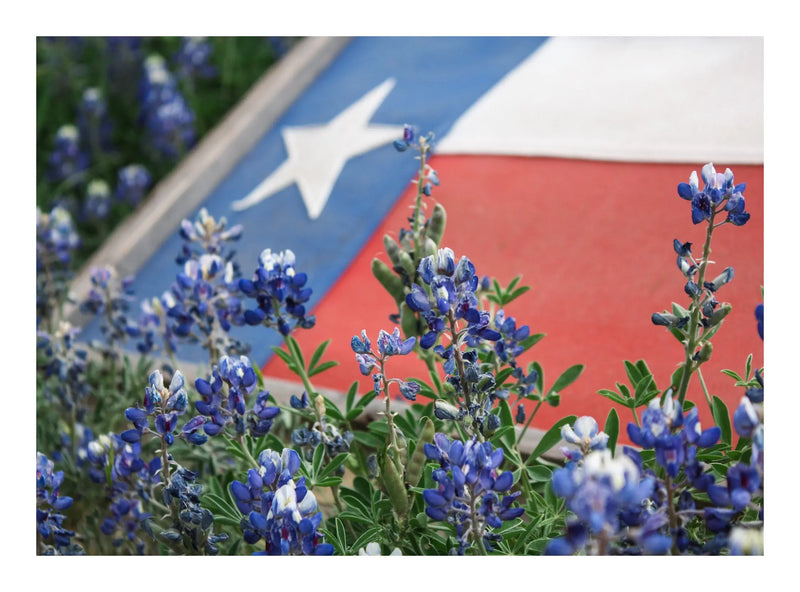 5x7 Fine Art Prints Grit Mercantile