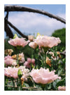 Postcards - 5x7 Grit Mercantile