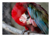 5x7 Fine Art Prints Grit Mercantile